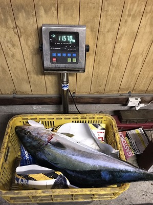 魚計量