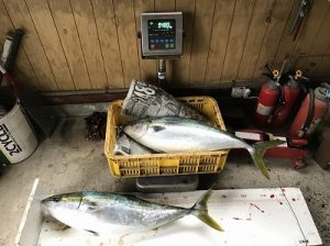 魚計量